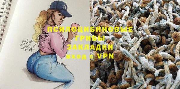 крисы Ростов
