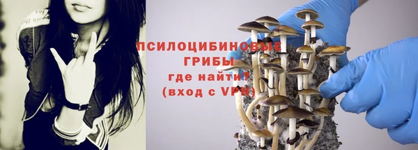 бошки Алзамай